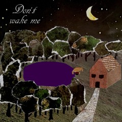 Don't Wake Me