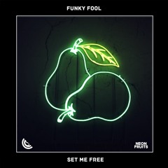 Funky Fool - Set Me Free 🍉