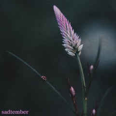 purplethesadboi