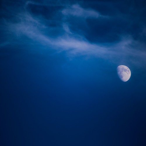 تهجد رمضان ۱٤۳٦| مسجد الصديق