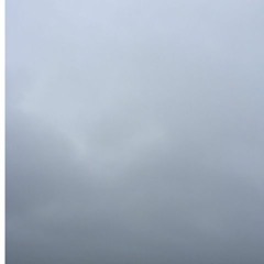 Dark Universal Stock