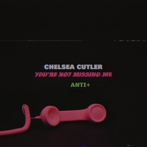 Chelsea Cutler - You're Not Missing Me (Tadeusz Duet)