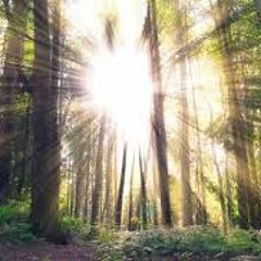 Aux Esprits de la Forêt