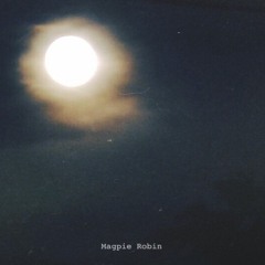 เธอคือพุทธเจ้าของฉัน (Selina&Sirinya Cover)