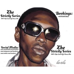 The Strictly Series | Strictly Vybz Kartel Girl Tunes | @LevSelects