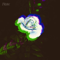 Tribe (Prod By ZamanBeats)