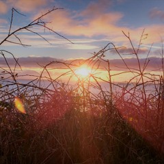 Chant off dissonance mix4