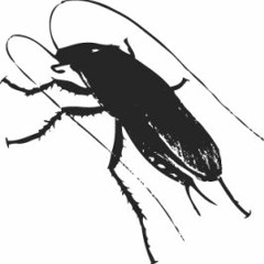 The Cockroach Song (Demo)