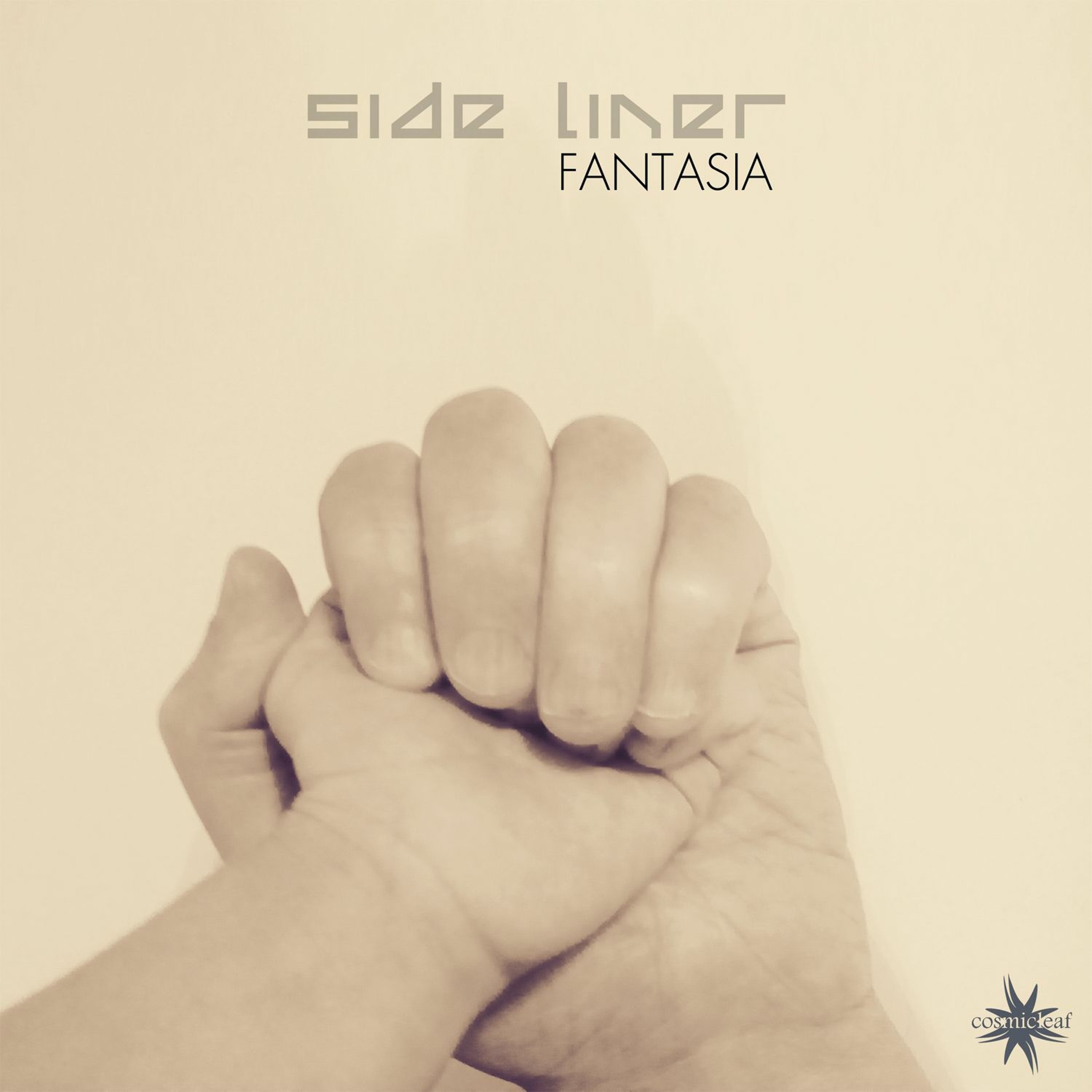 Side Liner (#downtempo) Renil Edis (#techno)