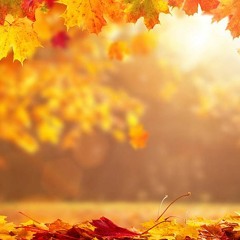 The Sounds Of Autumn