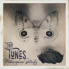 Tiny Tunes, Metamorphoses: Butterfly