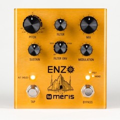 Meris Enzo Bass Split with Expression Pedal