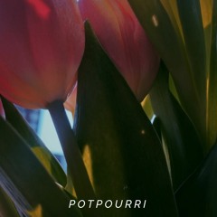 Potpourri