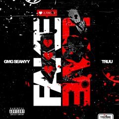fake love ft truu