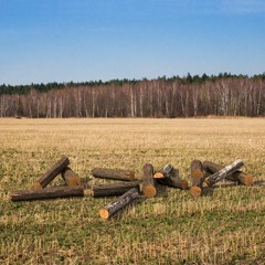 Надежды