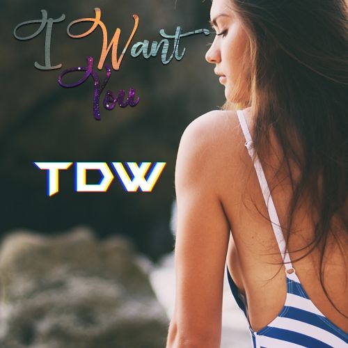 TDW - I Want You (ZikBalade) 2018