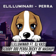 ELILLUMINARI ft. DJ Kass - Scooby Doo Perra (Ricky RF Mashup)