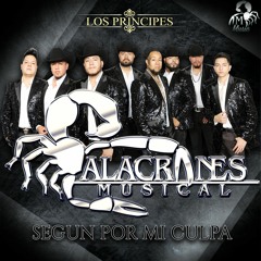 puras rolas chidas