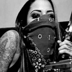 Mega Da Putaria Criminosa - DJ VG E PAIM MPC