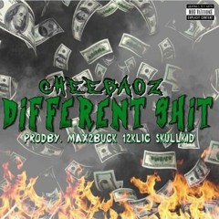 different shit - CHEEBAOZ (prod. max2buck + 12Klic + Skullkid)