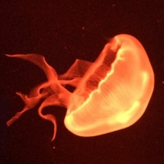 01 Oldskool Afterdark Mix