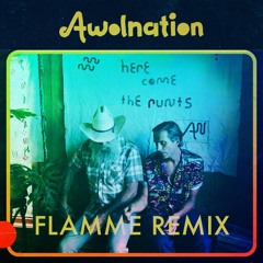 Awolnation - Passion (Flamme Remix)