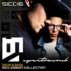 Sicc:ession Collection: SpectraSoul