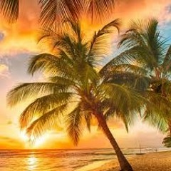 Swang - (ANOMA Tahiti Remix)
