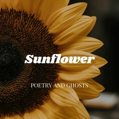 Sunflower - Shannon Purser, Allie X ("Sierra Burgess is a Loser" Soundtrack)