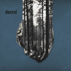Premiere: Desroi - Eutheria [DESROI002]