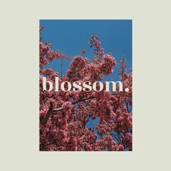 Blanc X - Blossom