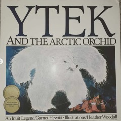 ytek's orchid