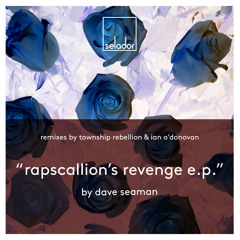 PREMIERE : Dave Seaman - Rapscallion's Revenge (12 Club Mix) [Selador]