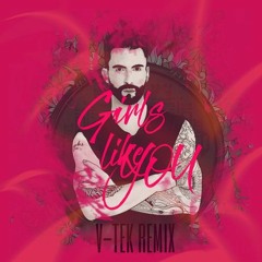 Maroon 5 - Girls like you (V-tek remix)