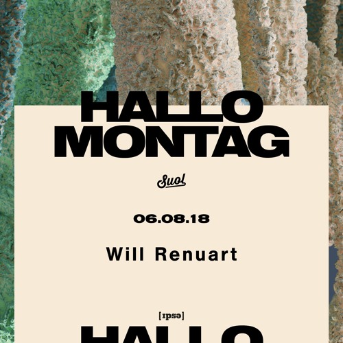 Will Renuart @ Hallo Montag Open Air #15 (06.08.2018)