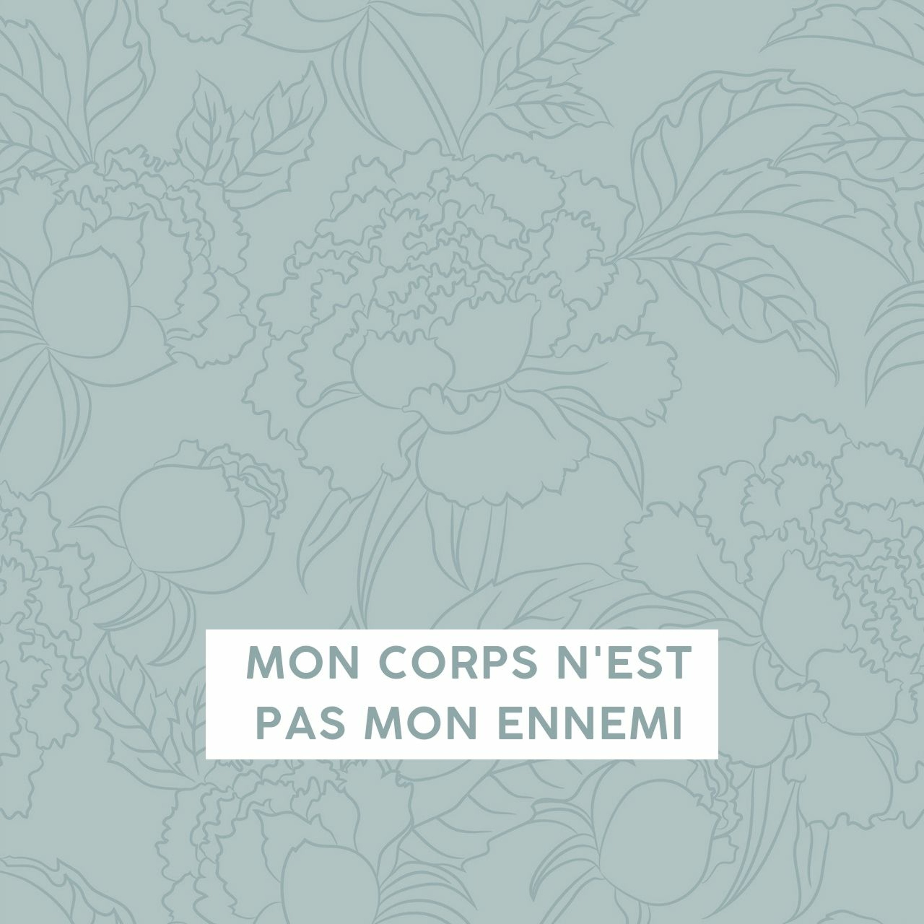 Mon corps n'est pas mon ennemi episode artwork