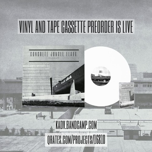 prgmat - concrete jungle flava [cassette tapes and vinyl preorder now]