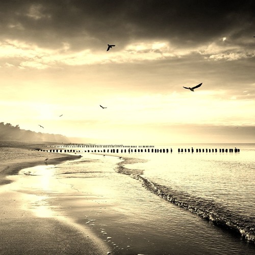 Sonne, Strand und Meer Podcast - For A Better World