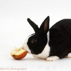 A Palette Full Of You