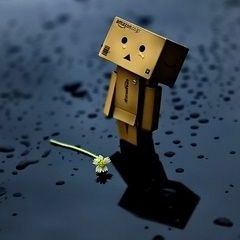 Heart Without A Helmet