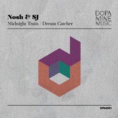 Nosh & SJ - Midnight Train