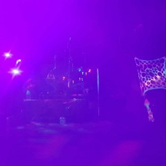 Illegal Forest Party(8.09.18)