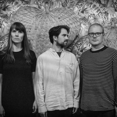 'Elt' - Ingebjørg Loe Bjørnstad/Tom Challenger/Kit Downes