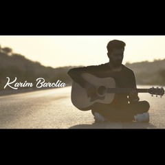 Audio Reel (Karim Barolia)