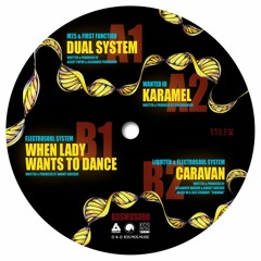 KOSMOS090 V/A "Electrosoul System presents LiquiDNAtion EP Volume Two" (Preview)