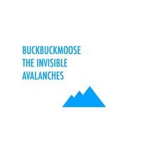 THE INVISIBLE > AVALANCHES