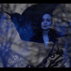 Blackbird - A cappella