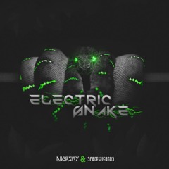 Diversity, Space Wizards - Electric Snake (original Mix)