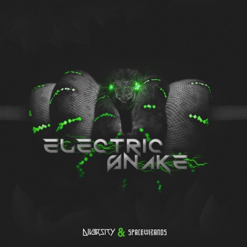 Diversity, Space Wizards - Electric Snake (original Mix)