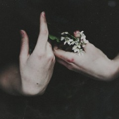 MCEK Fitbox Witchhouse